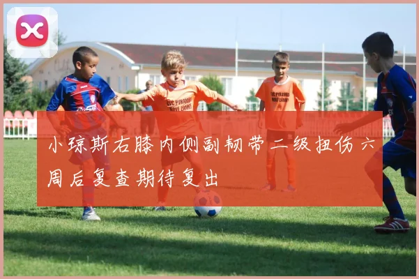 小琼斯右膝内侧副韧带二级扭伤六周后复查期待复出