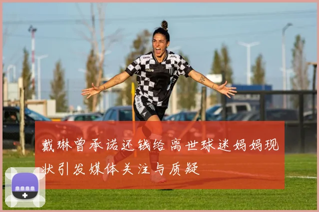 戴琳曾承诺还钱给离世球迷妈妈现状引发媒体关注与质疑