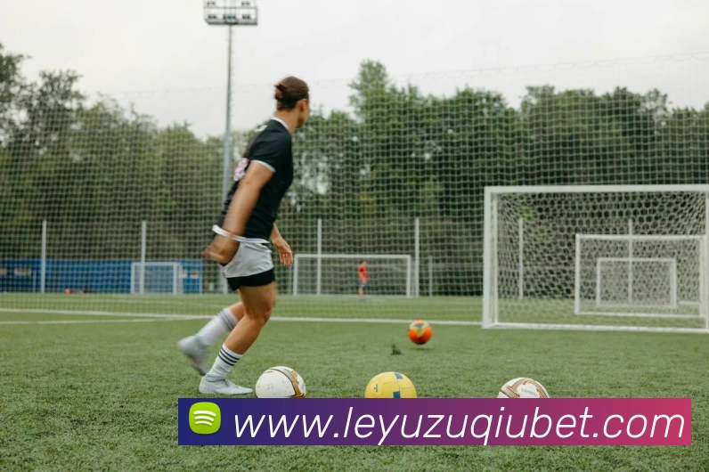 乐鱼体育全站App